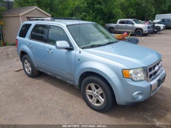  Salvage Ford Escape