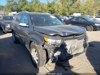  Salvage Kia Sorento