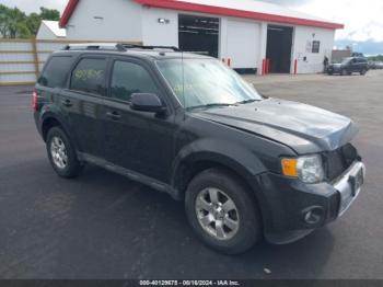  Salvage Ford Escape