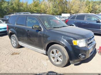  Salvage Ford Escape