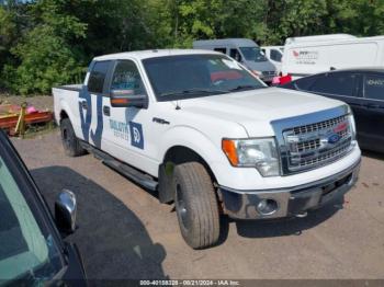  Salvage Ford F-150