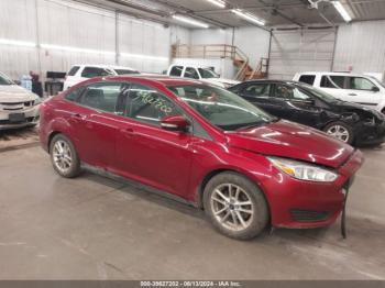  Salvage Ford Focus