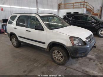  Salvage Honda CR-V