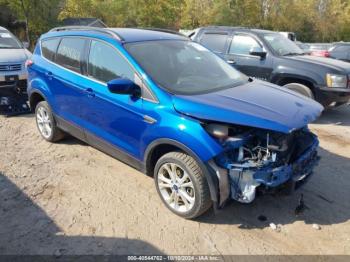  Salvage Ford Escape