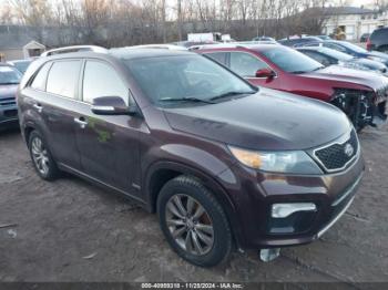  Salvage Kia Sorento