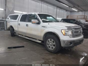  Salvage Ford F-150