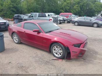  Salvage Ford Mustang