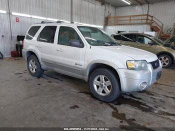  Salvage Ford Escape