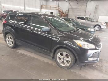  Salvage Ford Escape