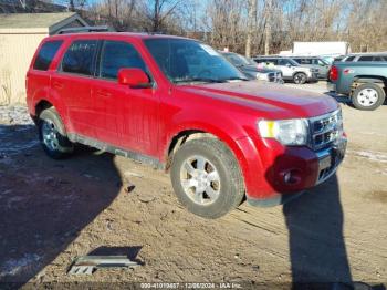  Salvage Ford Escape