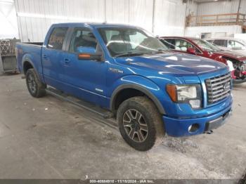  Salvage Ford F-150