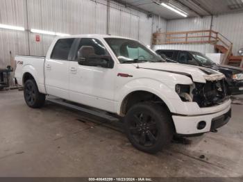  Salvage Ford F-150