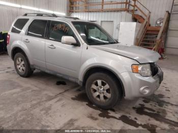  Salvage Ford Escape