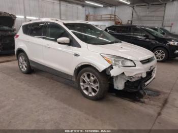  Salvage Ford Escape