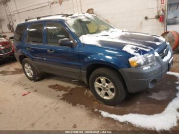  Salvage Ford Escape