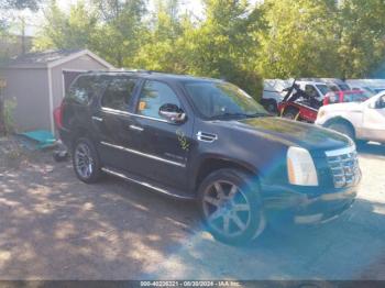  Salvage Cadillac Escalade