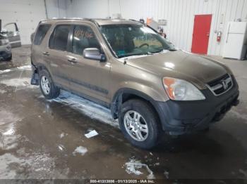  Salvage Honda CR-V