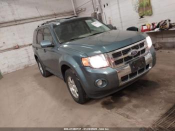  Salvage Ford Escape