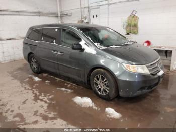  Salvage Honda Odyssey