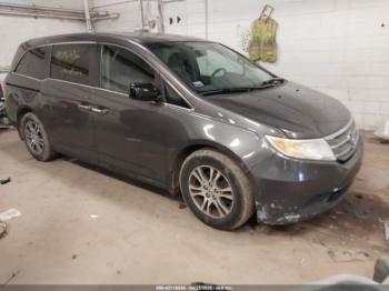  Salvage Honda Odyssey