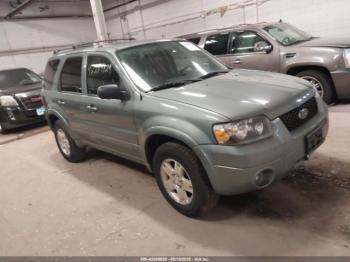  Salvage Ford Escape