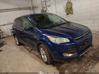  Salvage Ford Escape
