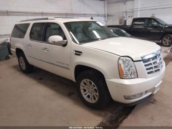  Salvage Cadillac Escalade