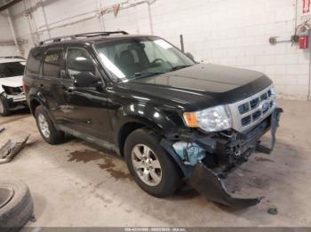  Salvage Ford Escape