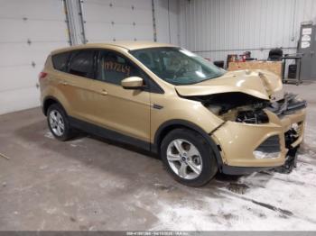  Salvage Ford Escape