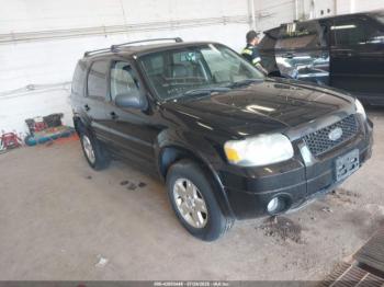 Salvage Ford Escape