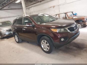  Salvage Kia Sorento