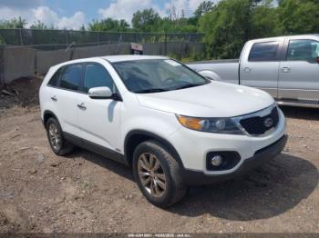  Salvage Kia Sorento