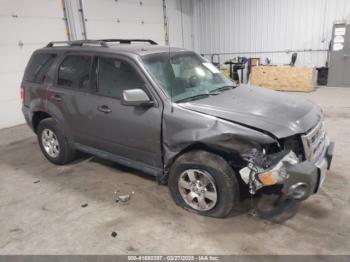  Salvage Ford Escape