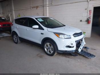  Salvage Ford Escape