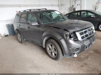  Salvage Ford Escape