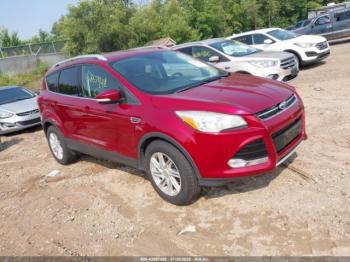  Salvage Ford Escape