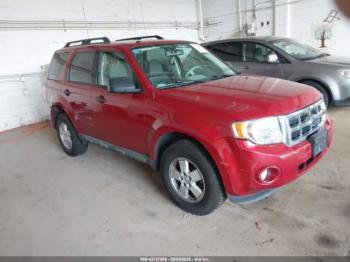  Salvage Ford Escape