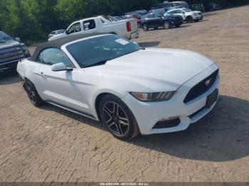  Salvage Ford Mustang