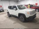 Jeep Renegade Limited Image 1