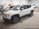 Jeep Renegade Limited Image 2