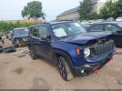 Jeep Renegade Trailhawk 4x4 Image 1