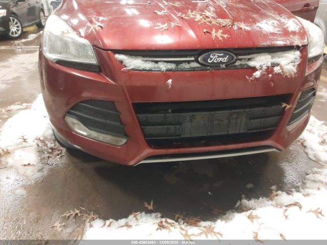 Ford Escape Se Image 8