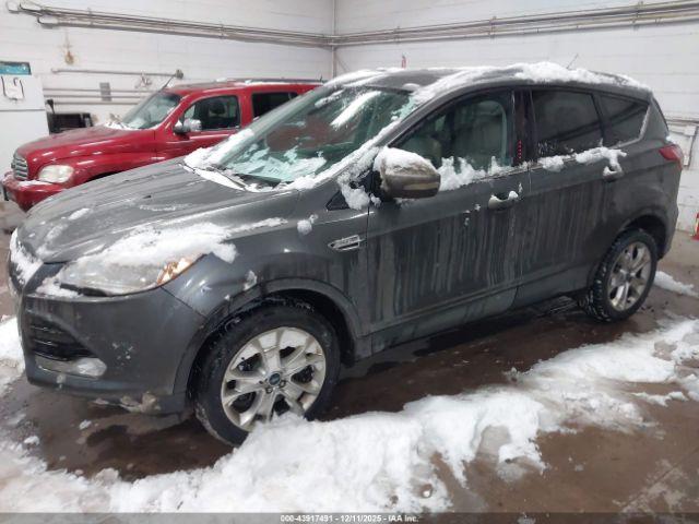 Ford Escape Titanium Image 5