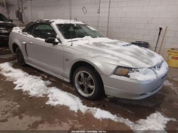 Salvage Ford Mustang