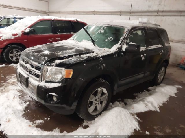 Ford Escape Limited Image 8