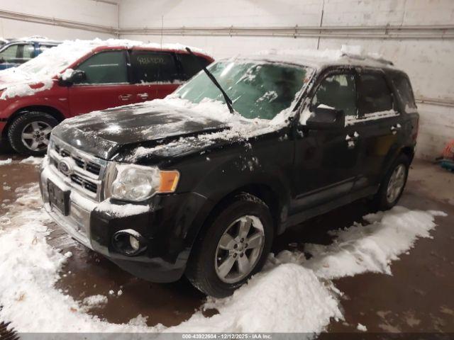 Ford Escape Limited Image 8