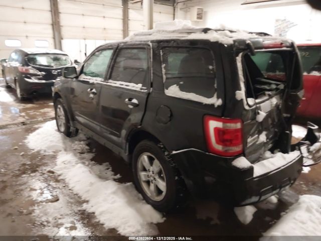 Ford Escape Limited Image 5