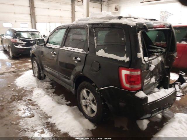 Ford Escape Limited Image 5