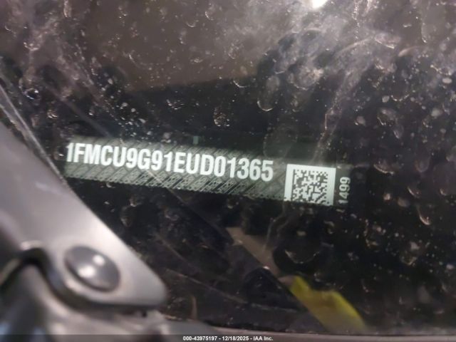 Ford Escape Se Image 8