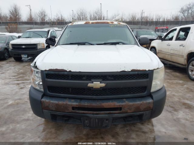 Chevrolet Silverado 1500 Work Truck Image 6